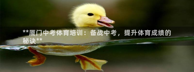 焦点娱乐传媒有限公司招聘要求：**厦门中考体育培训：