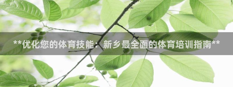 焦点娱乐官网下载安装最新版手机：**优化您的体育技能