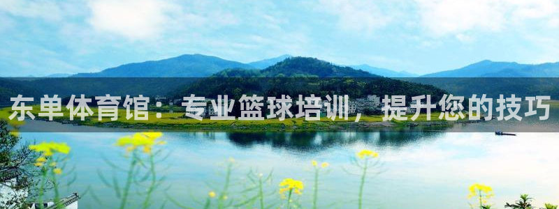 焦点娱乐简七O935最新版本更新内容：东单体育馆：专