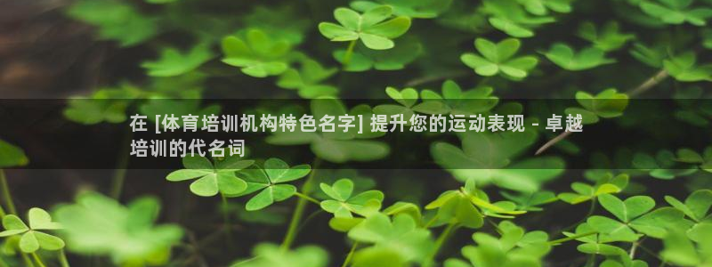 焦点娱乐平台登录不了了：在 [体育培训机构特色名字]