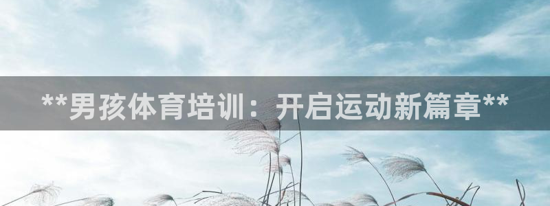焦点娱乐软件版本：**男孩体育培训：开启运动新篇章*