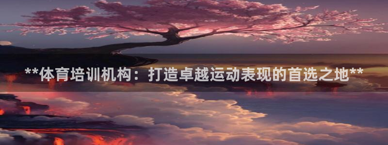 焦点娱乐说说：**体育培训机构：打造卓越运动表现的首