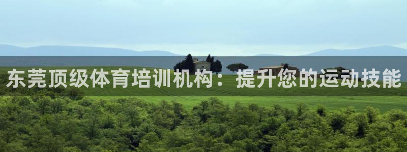 焦点娱乐财神：东莞顶级体育培训机构：提升您的运动技能