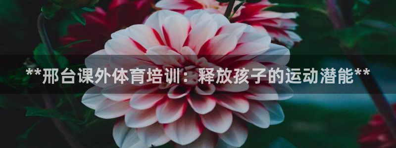 焦点娱乐有限公司招聘：**邢台课外体育培训：释放孩子