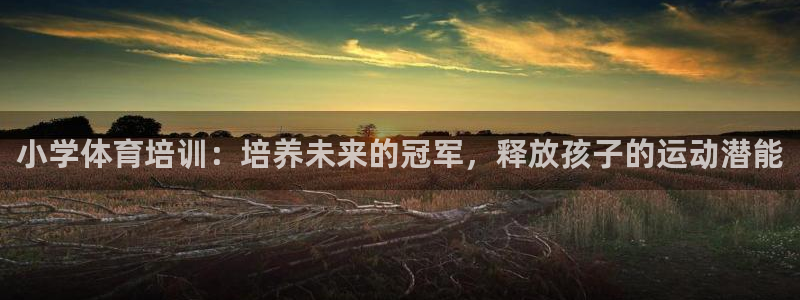 焦点娱乐是黑平台吗是真的吗：小学体育培训：培养未来的