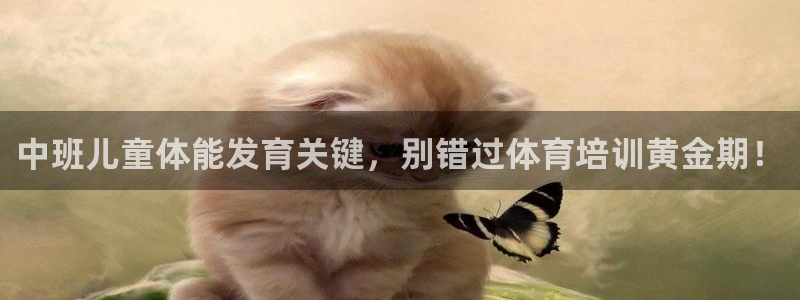 焦点娱乐软件版本区别：中班儿童体能发育关键，别错过体