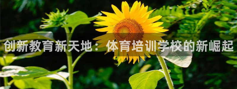 焦点娱乐官方网站下载安装苹果