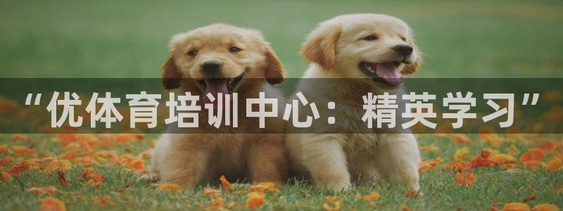 焦点娱乐可以解封银行卡吗是真的吗