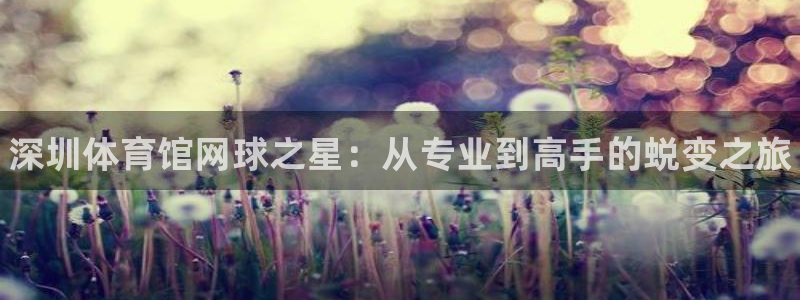 焦点娱乐陈江河