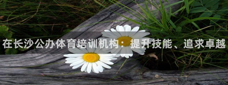 焦点娱乐公司简介资料：在长沙公办体育培训机构：提升技