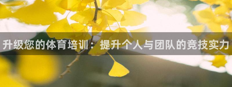 焦点娱乐平台候7O777：升级您的体育培训：提升个人