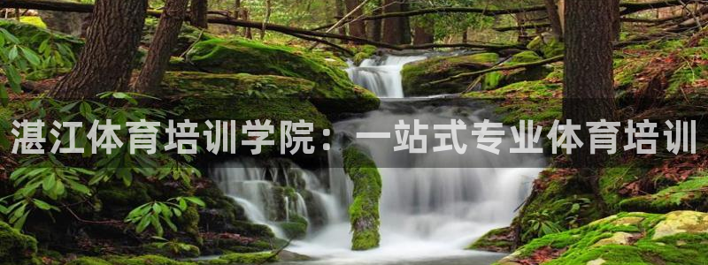 焦点娱乐家 5O6917 焦点：湛江体育培训学院：一