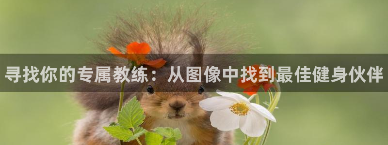 焦点娱乐平台客服电话号码是多少