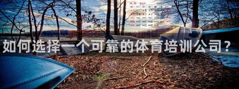 焦点娱乐平台客服：如何选择一个可靠的体育培训公司？