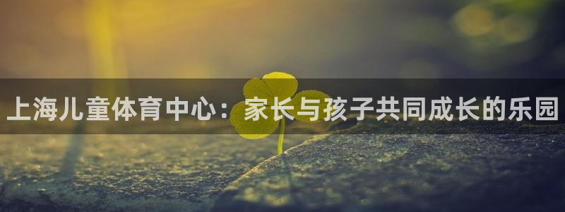 焦点娱乐游戏攻略大全：上海儿童体育中心：家长与孩子共同成长的
