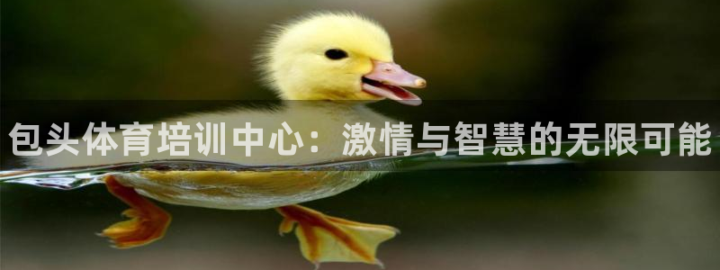 焦点娱乐是拉菲公司的吗