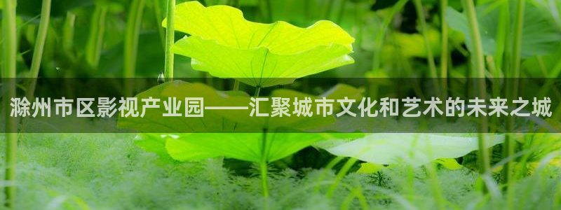 狂飙天龙影院