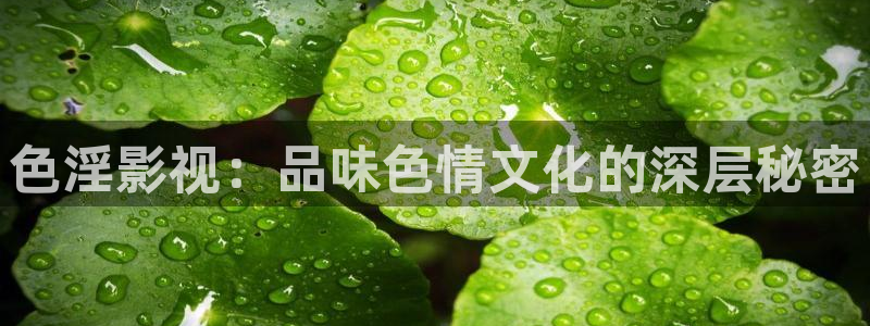 天龙高清电影院