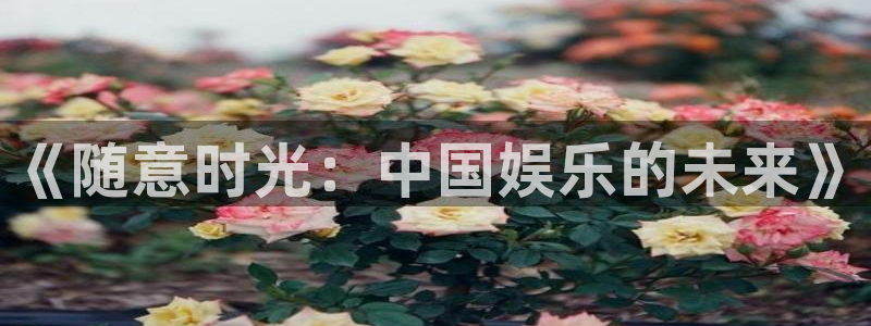 天龙家庭影院